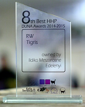 Duna-Awards 8