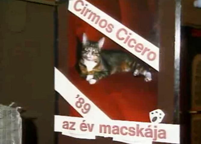 1989.okt. FAMKAT - Cirmos Ciceró