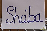 400-shaba